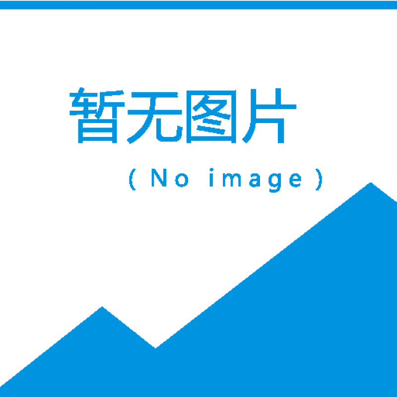DF8煙道口